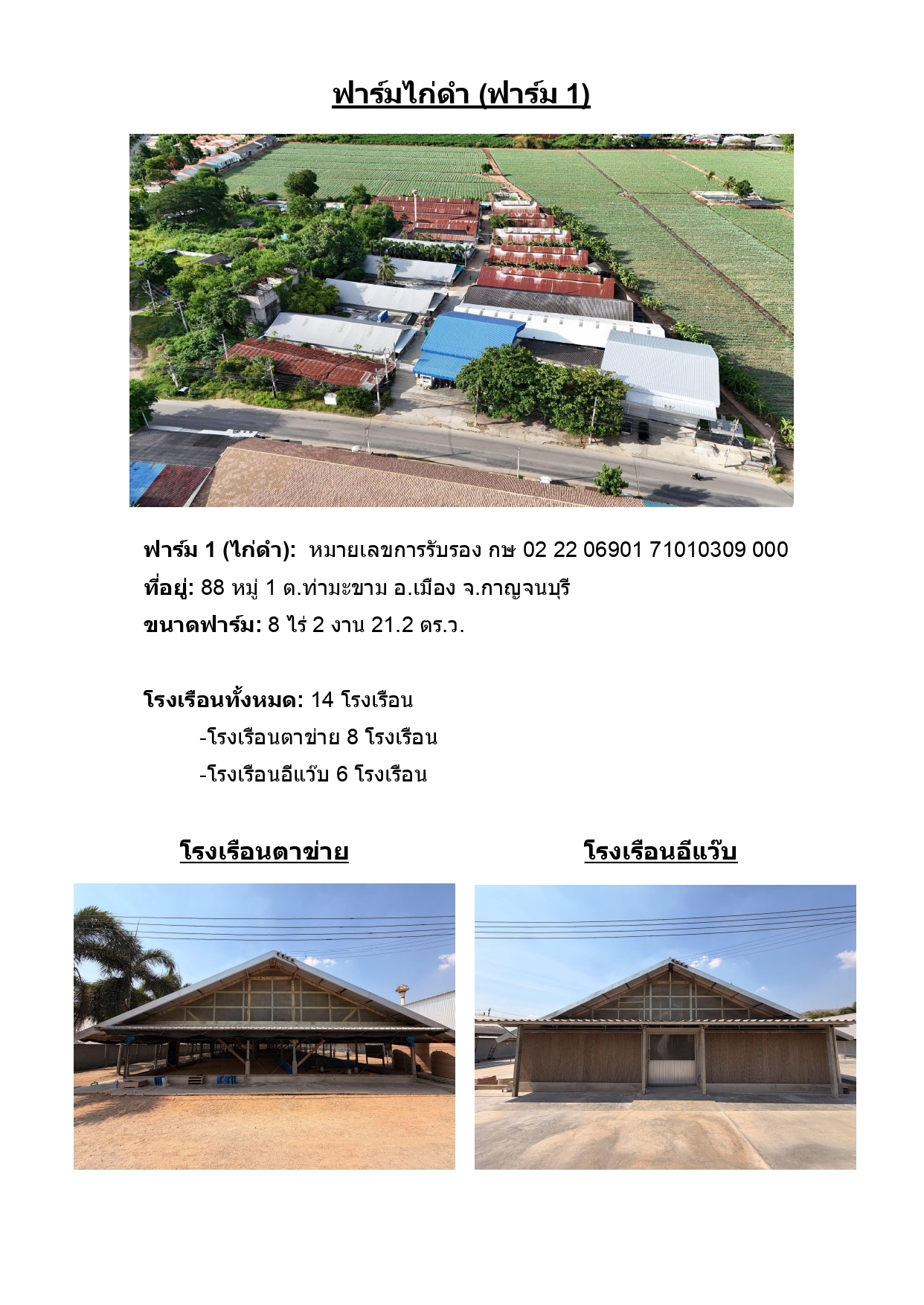 โรงเรือนตาข่าย และโรงเรือนอีแว๊บ ฟาร์มไก่ดำ