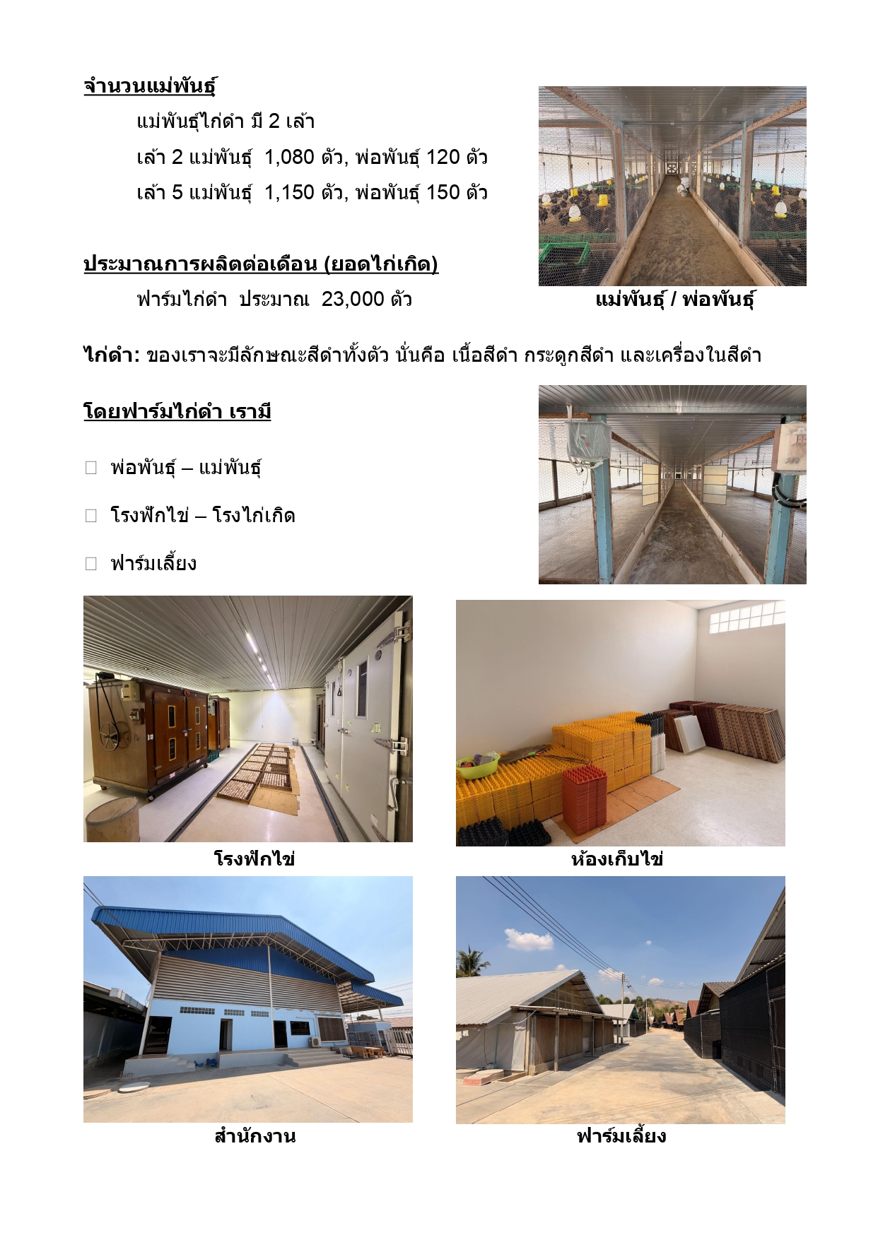พ่อพันธุ์ แม่พันธุ์ โรงฟักไข่ และฟาร์มเลี้ยง