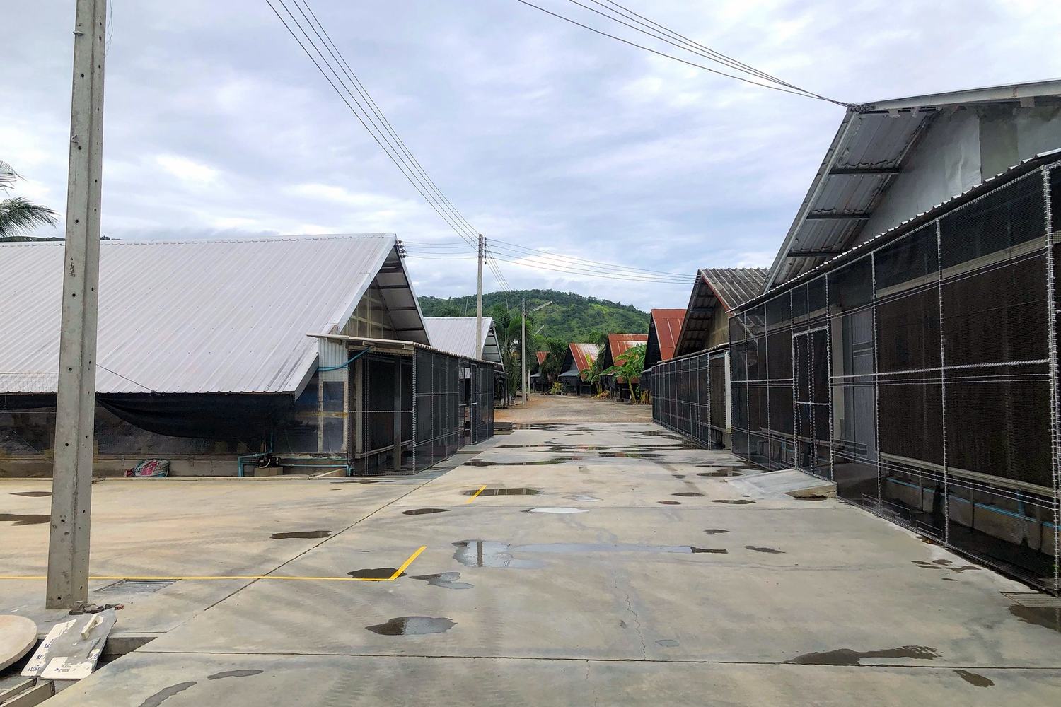ถนนภายในฟาร์ม