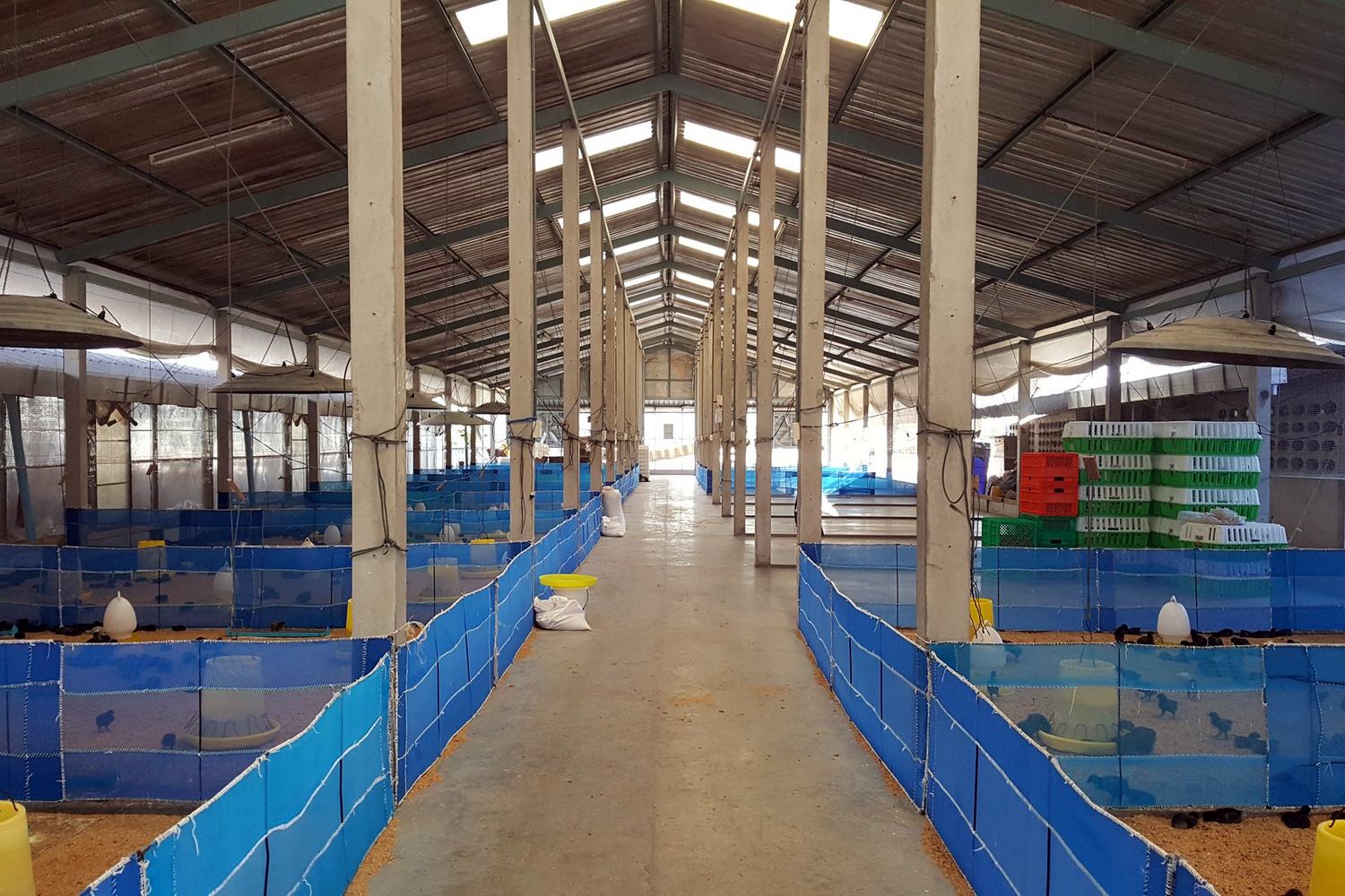 ภายในโรงเรือน