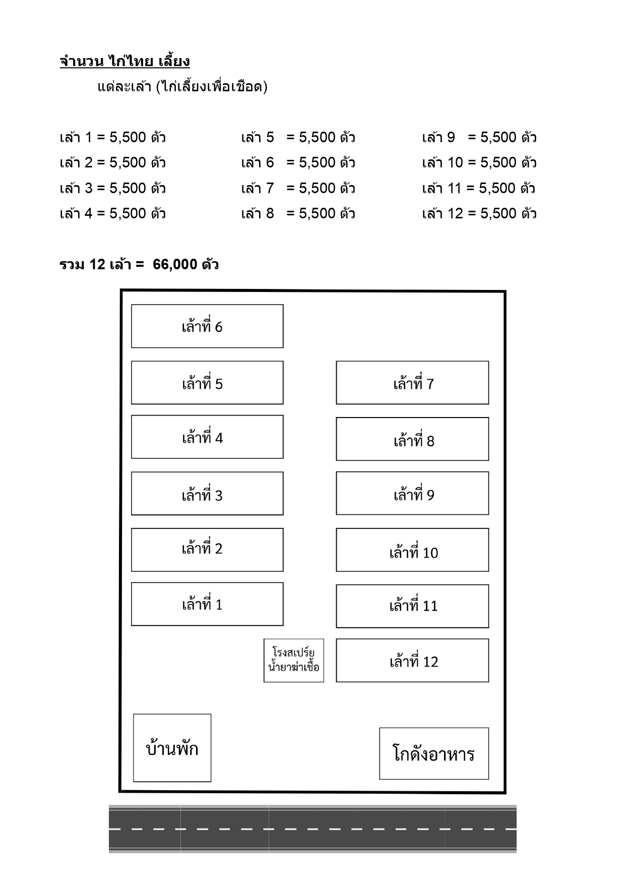 ผังเล้า 12 โรงเรือน ฟาร์มไก่ไทย