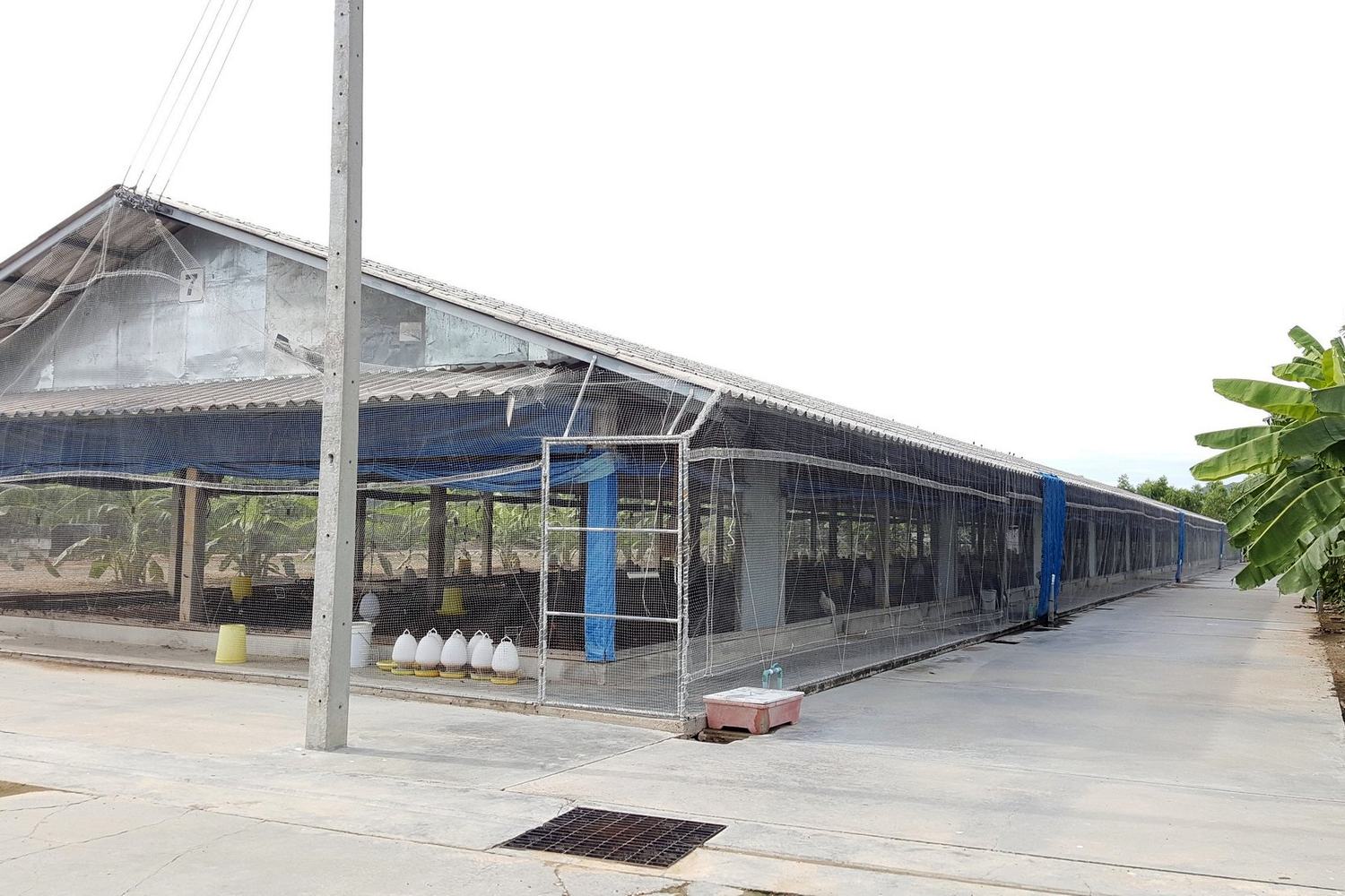 โรงเรือนเลี้ยงไก่